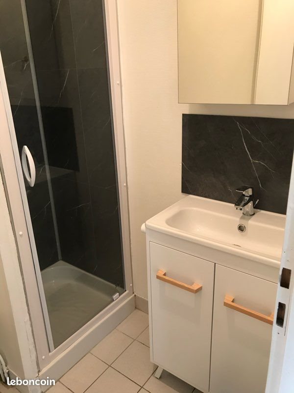 Appartement à louer, 14m², Angers