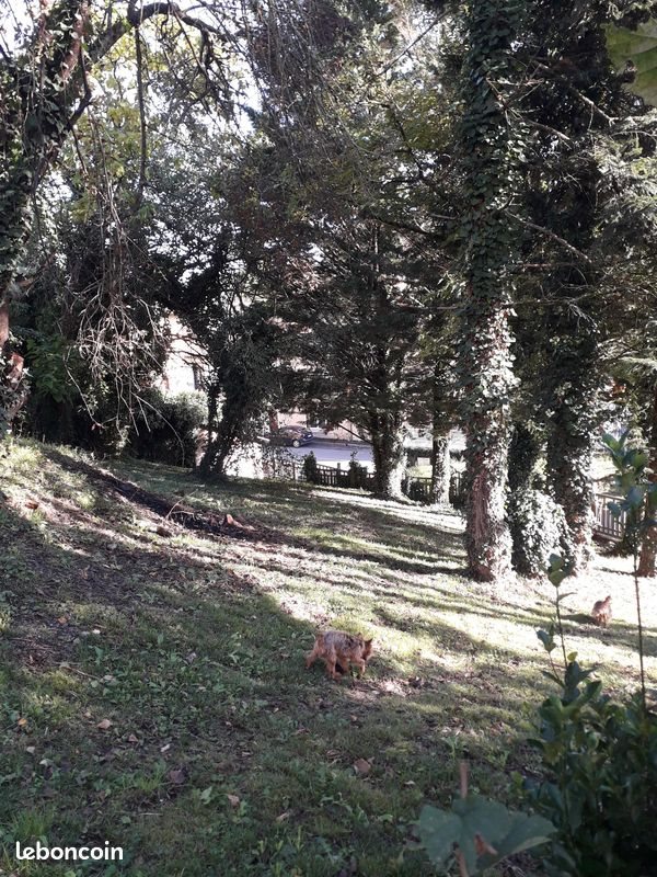 Maison à vendre, 240m², Aubin