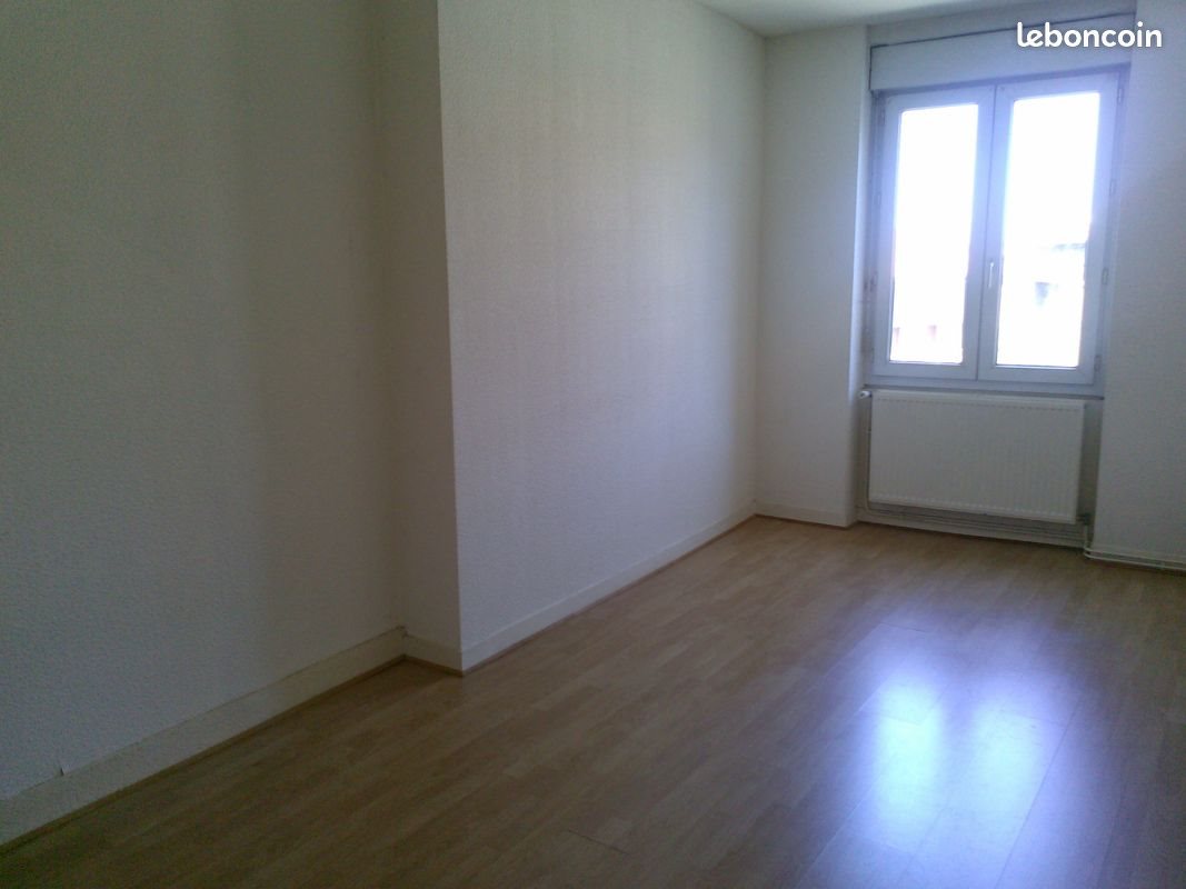 Appartement à louer, 53m², Saint-Étienne