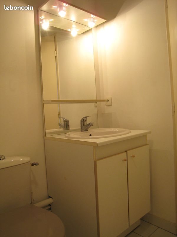 Appartement à louer, 31m², Lille