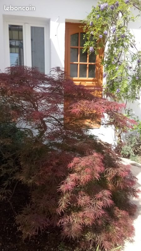Appartement à louer, 25m², Dijon