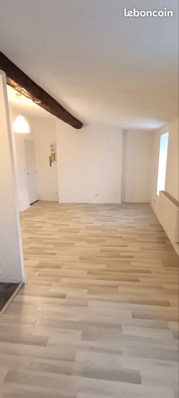 Appartement à louer, 51m², Nancy