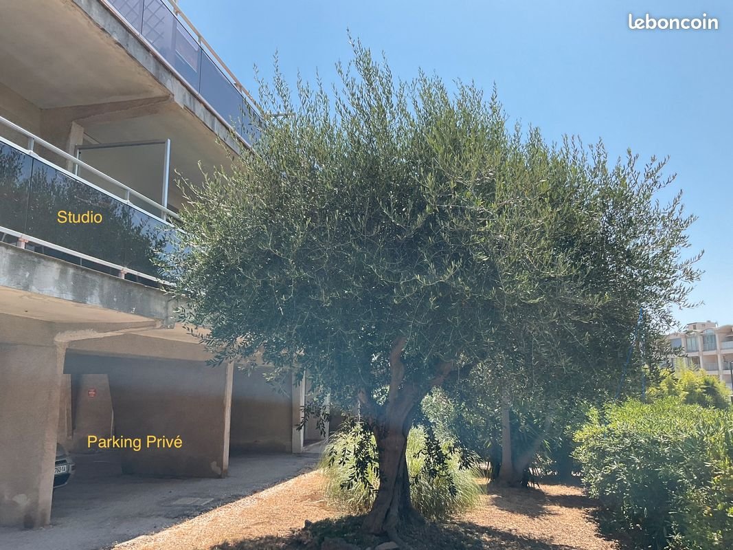 Appartement à louer, 32m², Six-Fours-les-Plages
