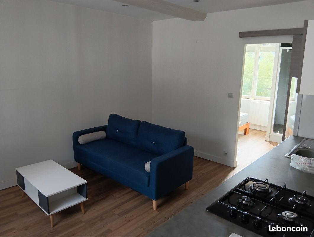 Appartement à louer, 25m², Saint-Etienne