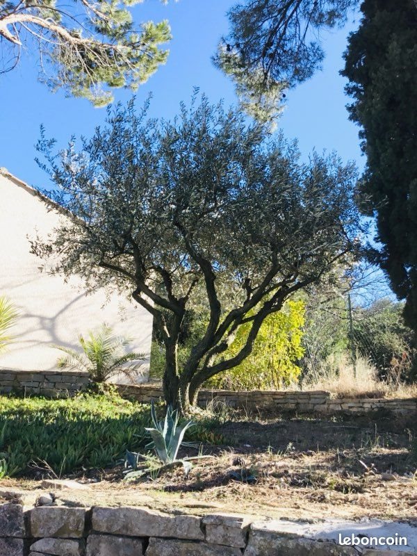 Maison à vendre, 150m², Grabels