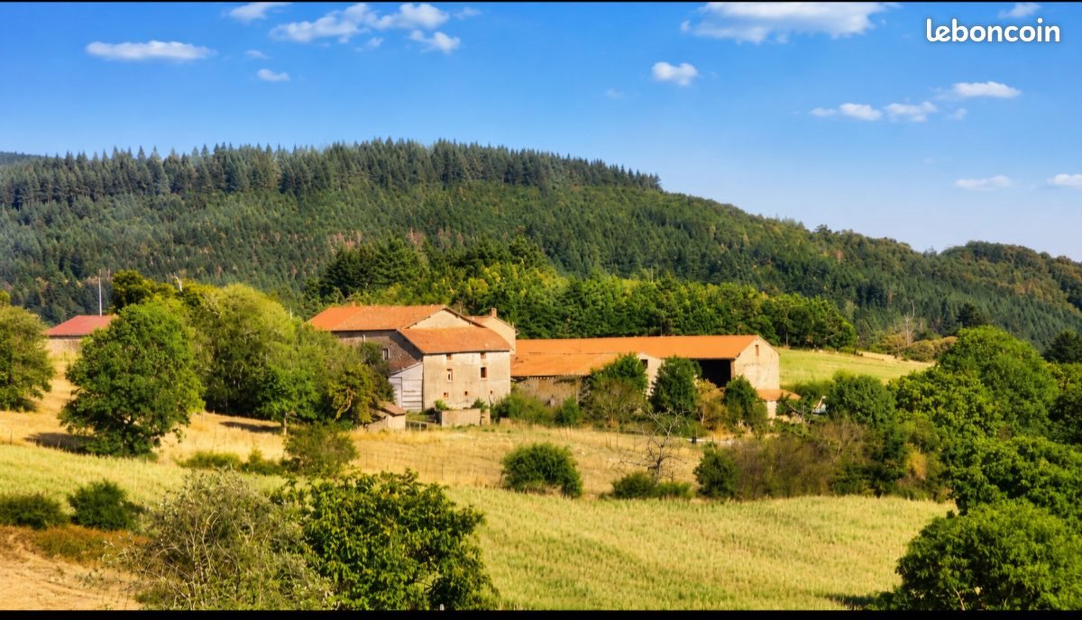 Maison à vendre, 275m², Saint-Just-en-Chevalet