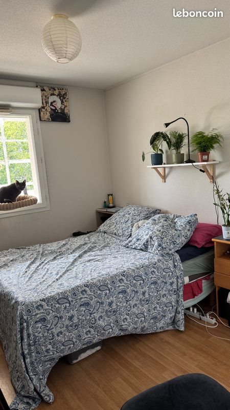 Appartement à louer, 45m², Vannes