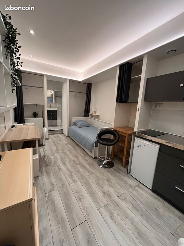 Appartement à louer, 17m², Villeurbanne