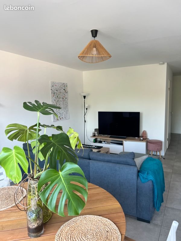 Appartement à louer, 66m², Pessac