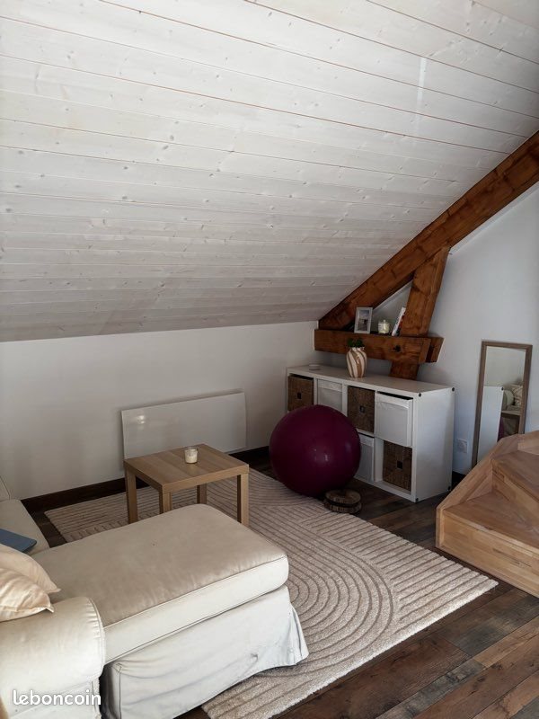 Appartement à louer, 45m², Thônes