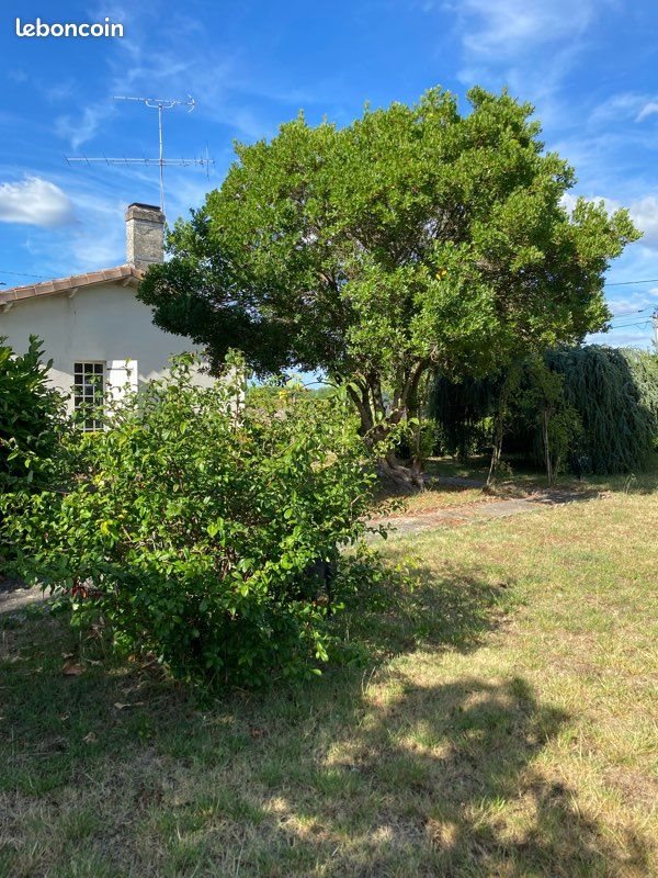 Maison à louer, 110m², Barsac