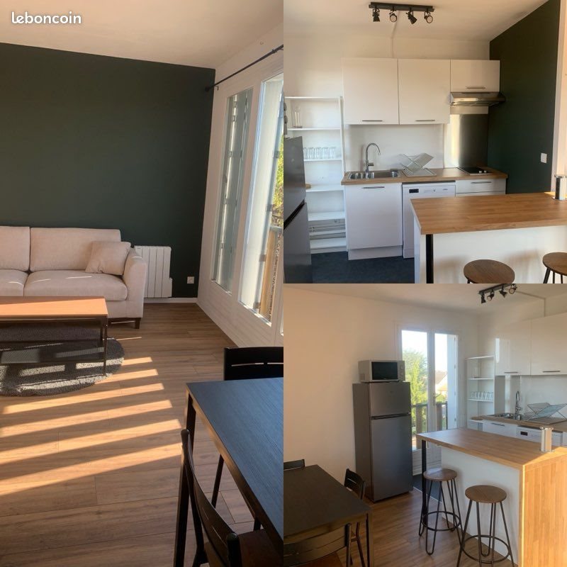 Appartement à louer, 44m², Fleury-les-Aubrais