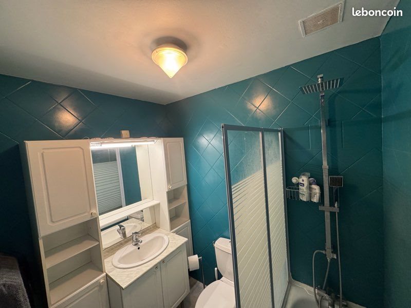 Appartement à vendre, 18m², Sainte-Savine