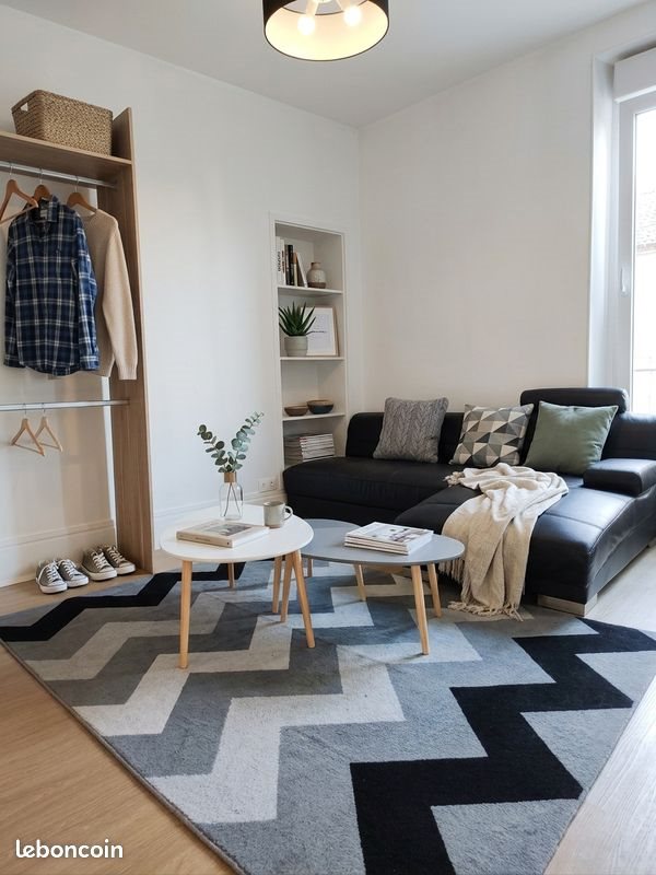 Appartement à louer, 45m², Épernay