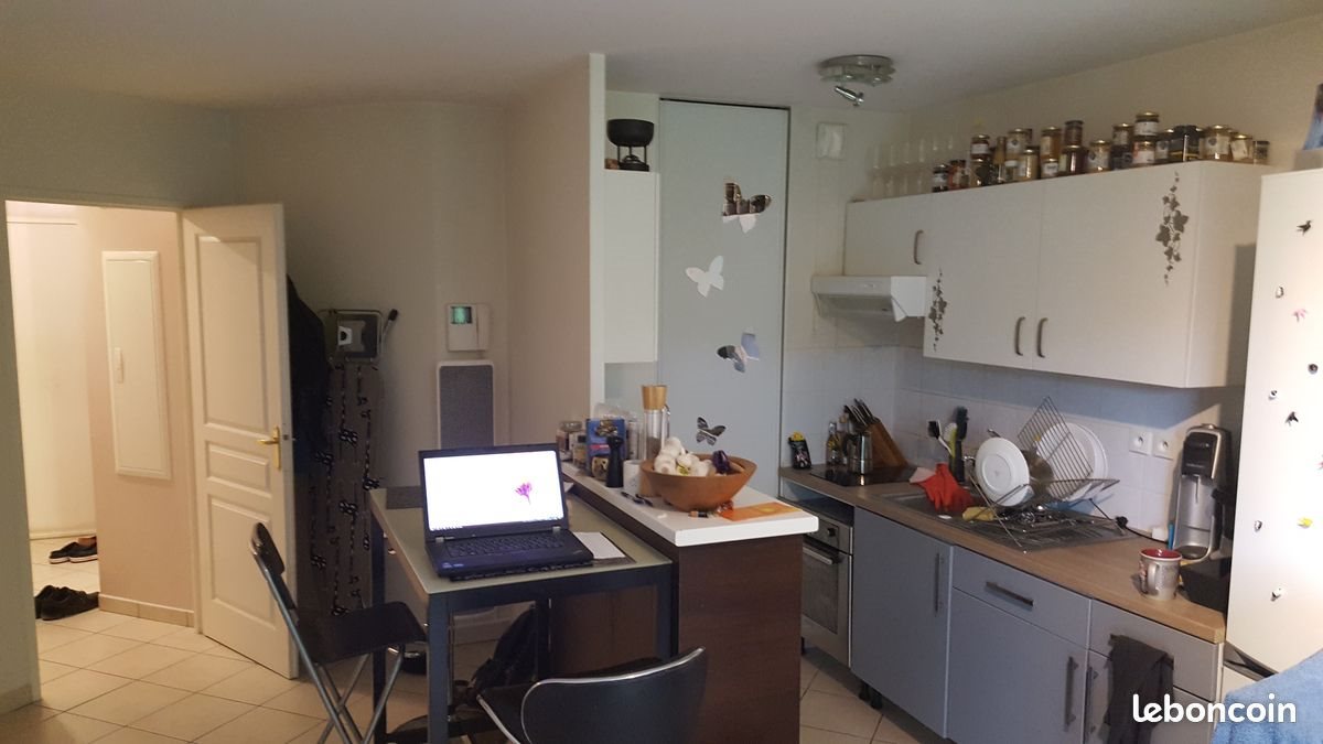 Appartement à louer, 45m², Cessy