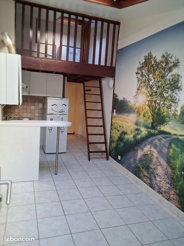 Appartement à louer, 27m², Tours