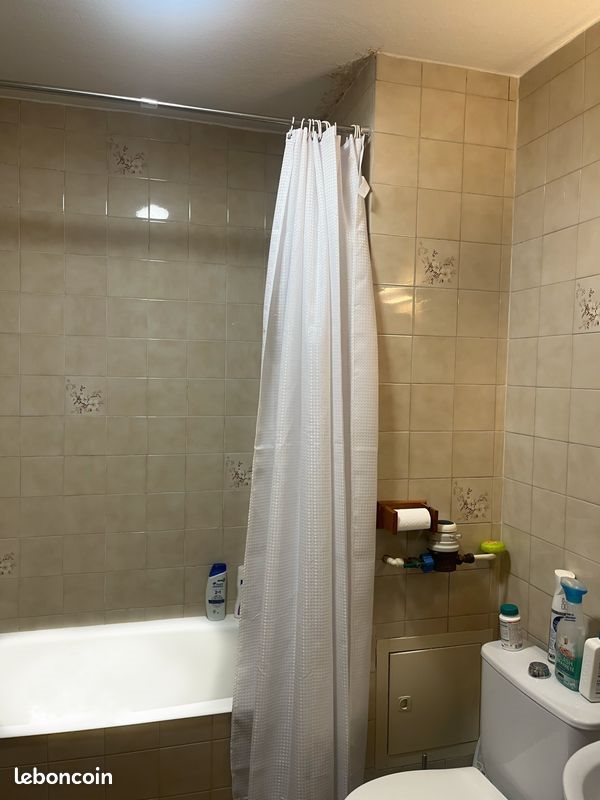 Appartement à vendre, 40m², Grenoble