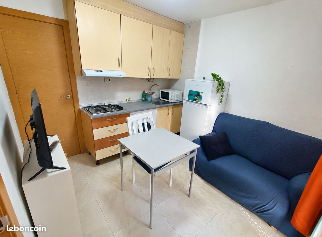 Appartement à louer, 20m², Bron