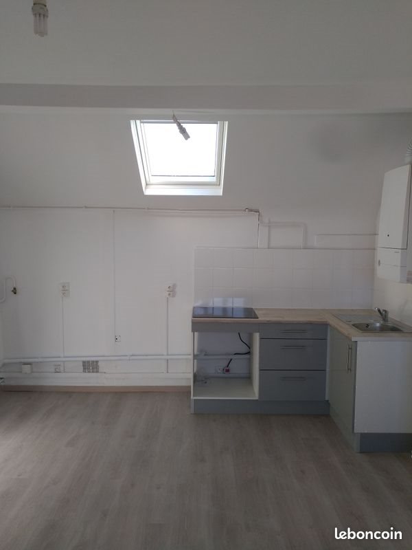 Appartement à louer, 54m², Lille