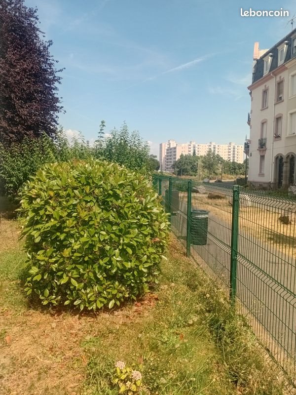 Appartement à louer, 58m², Mulhouse