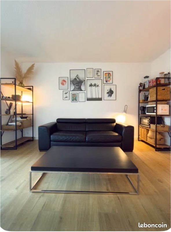 Appartement à louer, 45m², Saint-Cyprien