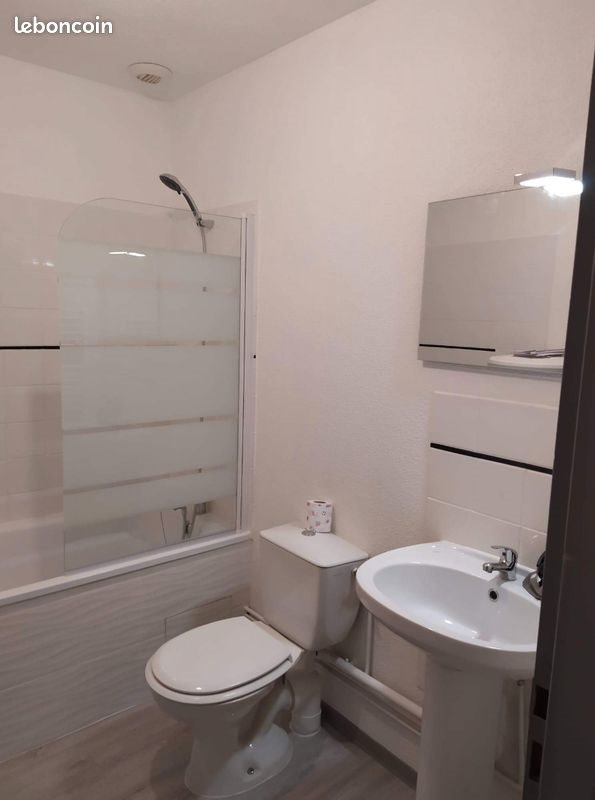 Appartement à louer, 20m², Nancy