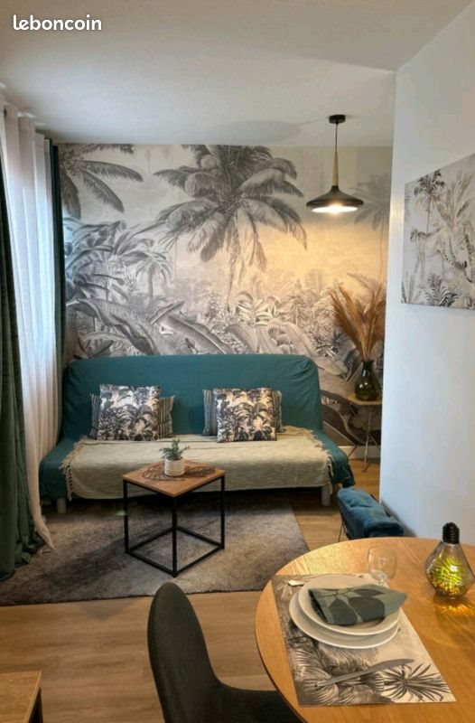 Appartement à louer, 30m², Lattes