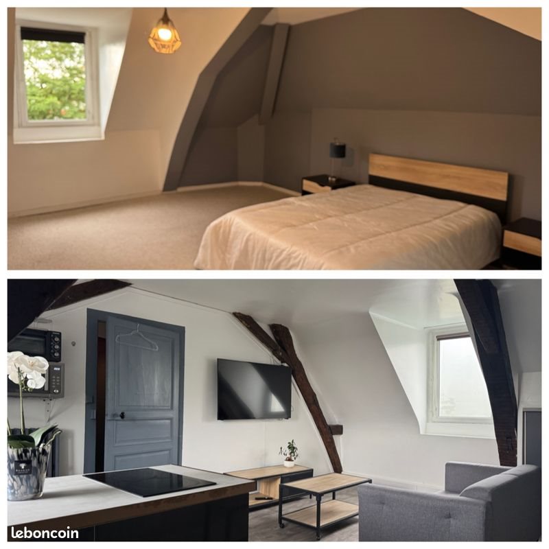 Appartement à louer, 45m², Le Mans
