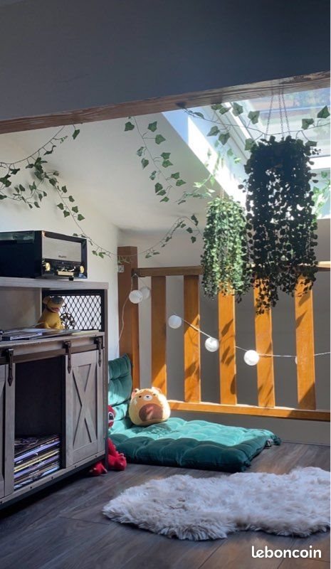 Appartement à louer, 50m², Metz