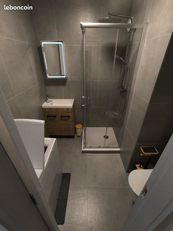 Appartement à louer, 25m², Nancy