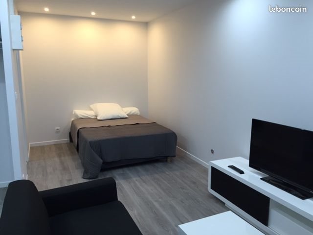 Appartement à louer, 22m², Givors