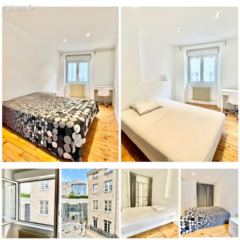 Appartement à louer, 54m², Saint-Etienne