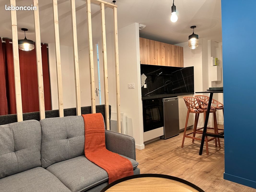 Appartement à louer, 25m², Roanne