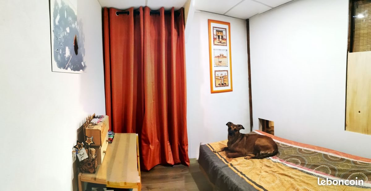 Appartement à vendre, 35m², Amélie-les-Bains-Palalda