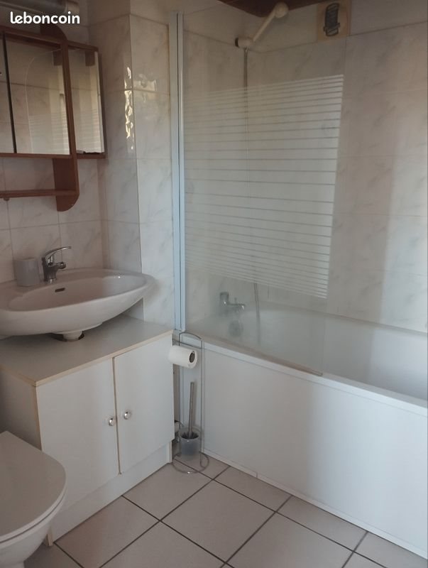 Appartement à louer, 30m², Nancy