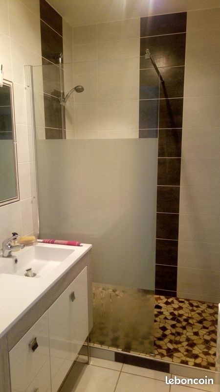 Appartement à louer, 50m², Villeurbanne