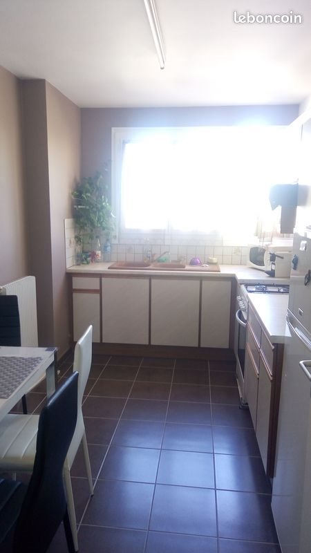 Appartement à louer, 50m², Villeurbanne