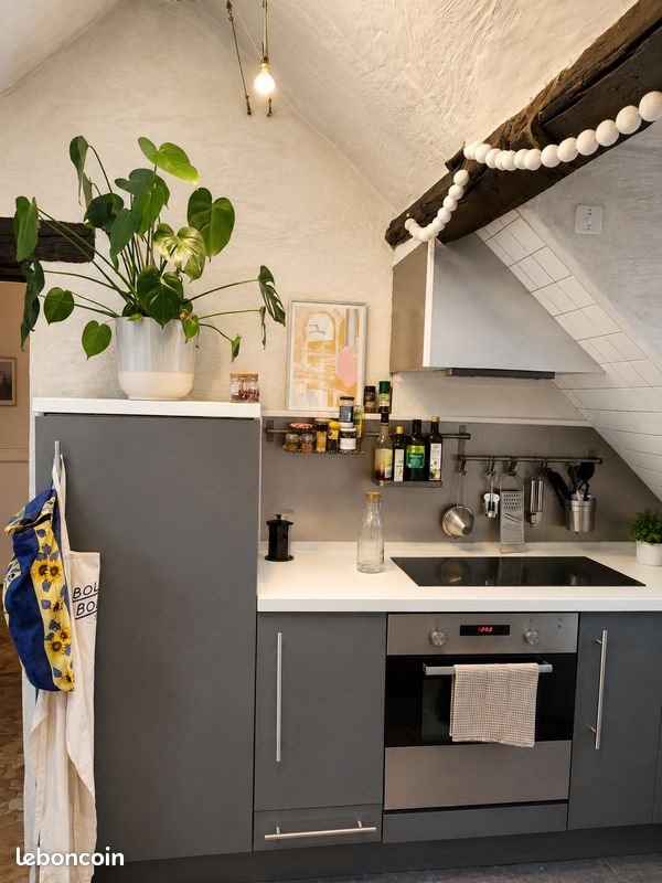 Appartement à louer, 42m², Dijon