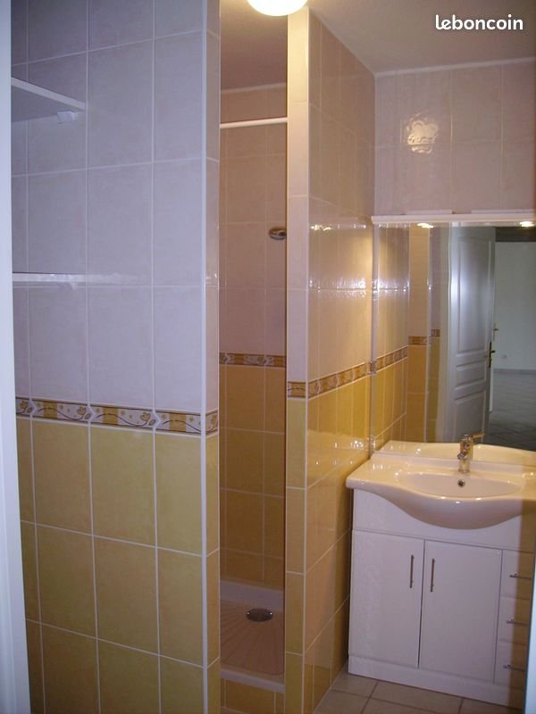 Appartement à louer, 50m², Romans-sur-Isère