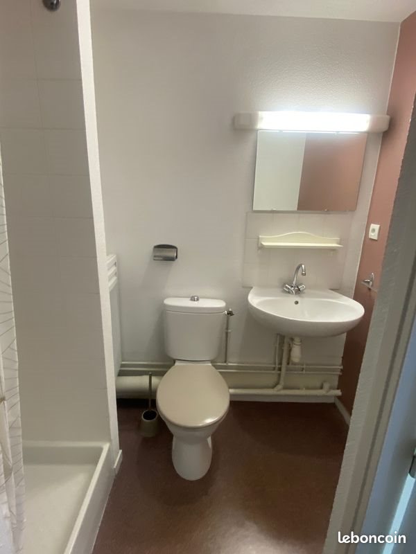 Appartement à louer, 25m², Le Mans