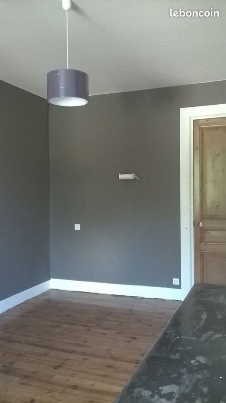 Appartement à louer, 30m², Saint-Etienne