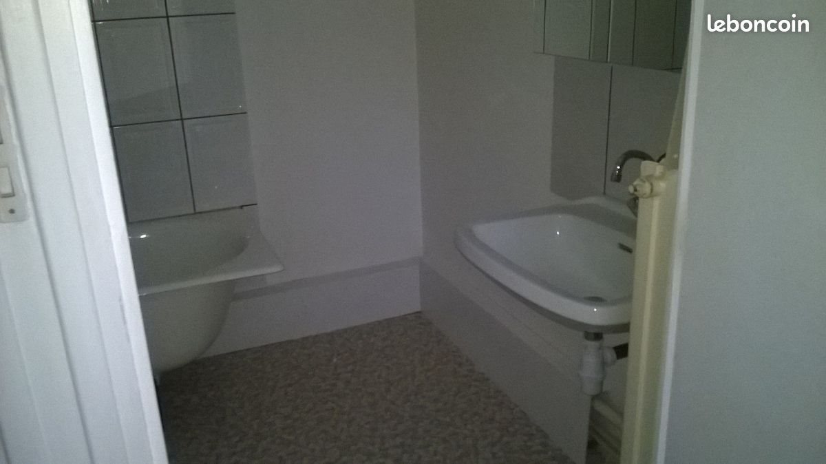 Appartement à louer, 30m², Saint-Etienne