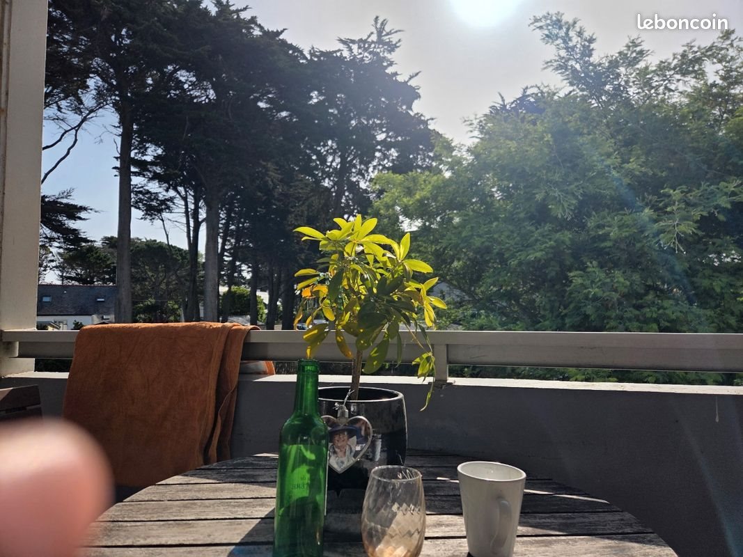 Appartement à vendre, 21m², Quiberon