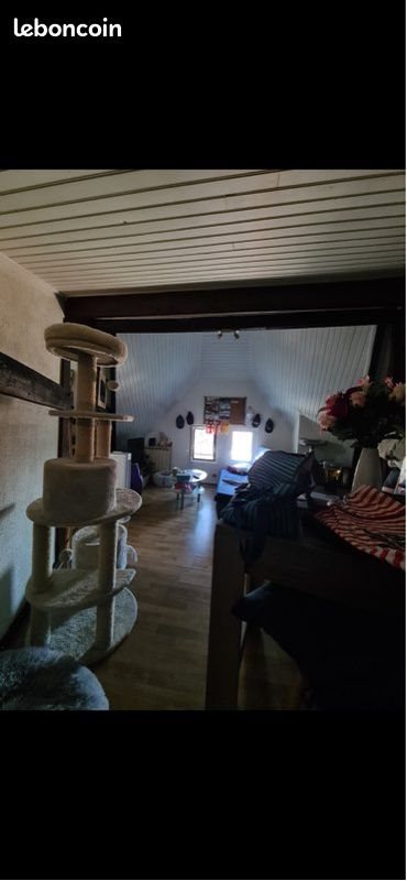Appartement à louer, 50m², Valenciennes