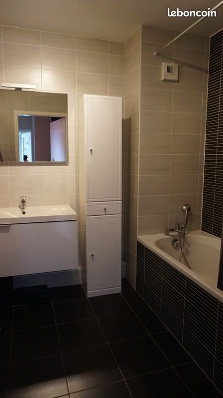 Appartement à louer, 61m², Drusenheim