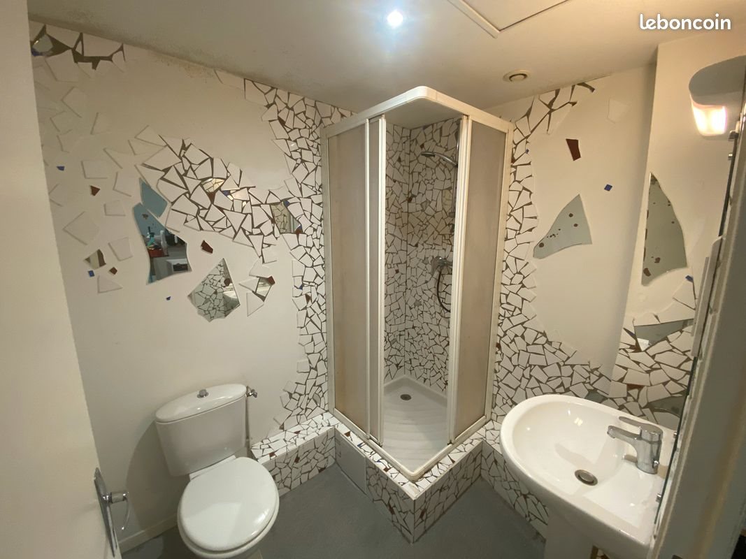 Appartement à louer, 27m², Saint-Etienne