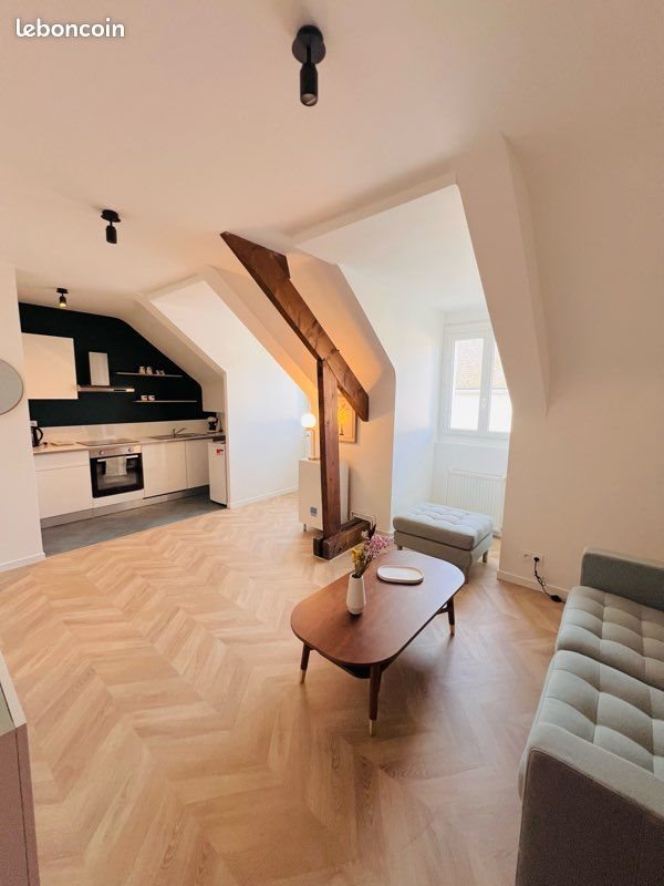Appartement à louer, 39m², Tours