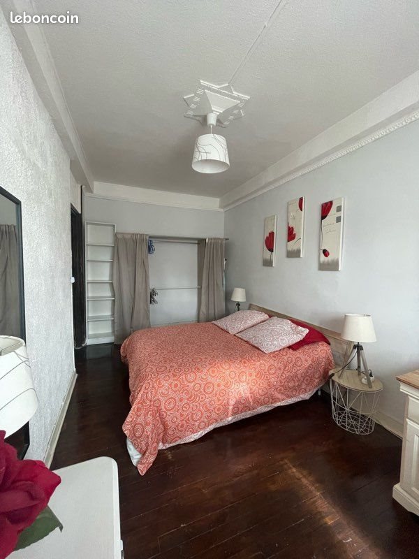 Appartement à louer, 50m², Saint-Étienne