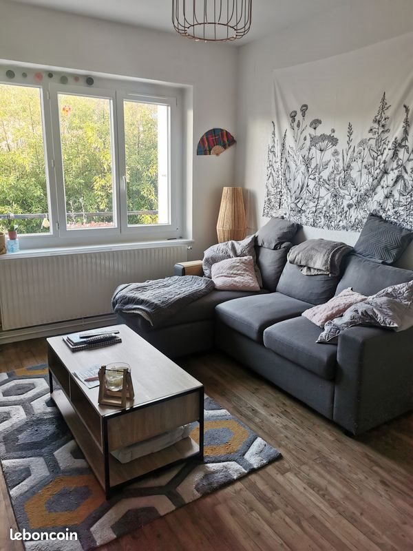 Appartement à louer, 46m², La Flèche