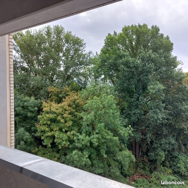 Appartement à louer, 60m², Strasbourg